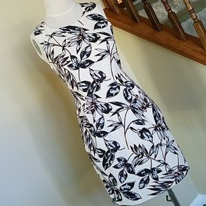 NWT J.crew Dress
